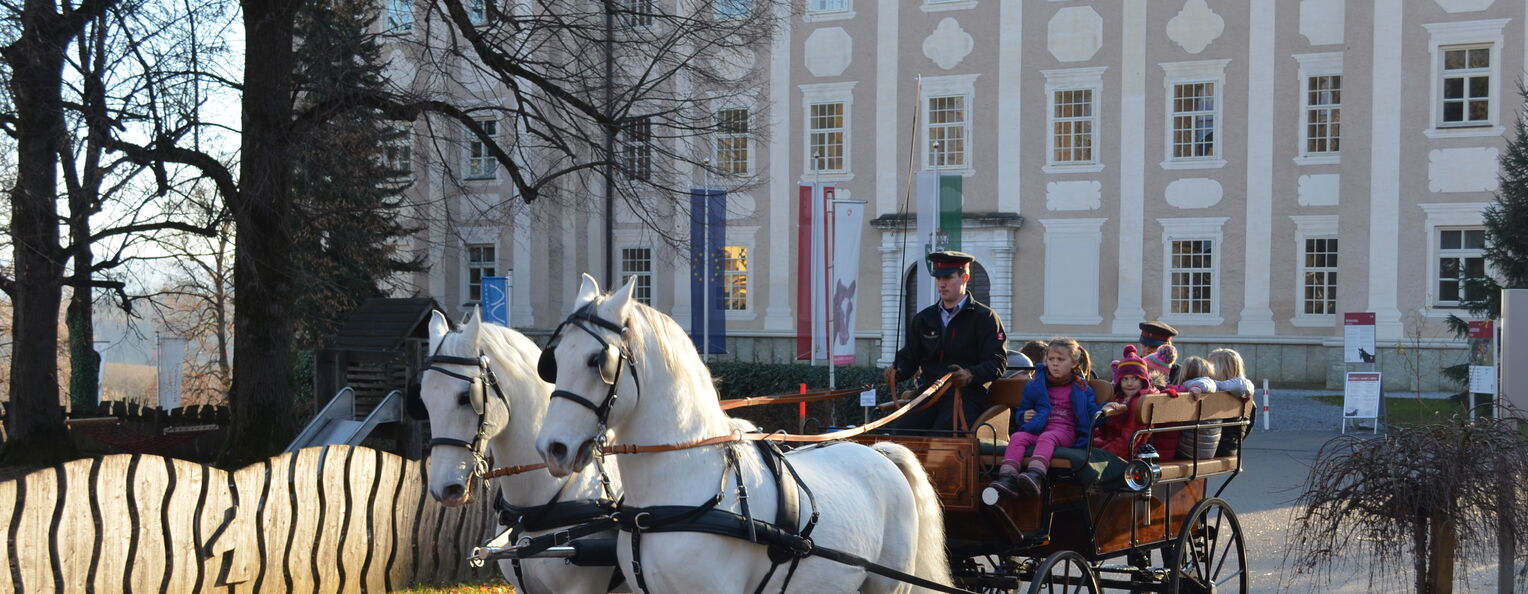 Enjoy a romantic carriage ride!